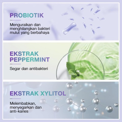 Larutan oral probiotik