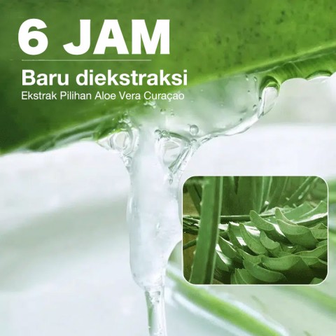 Pembersih Pengelupasan & Pencerah Aloe Vera