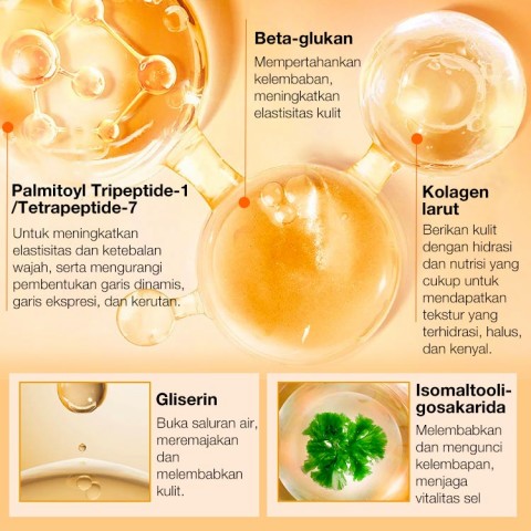 Pro-xylane Esensi Pengisi Kerut Peptida