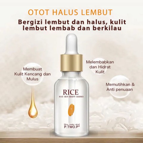 Sari Beras yang Meremajakan dan Memutihkan
