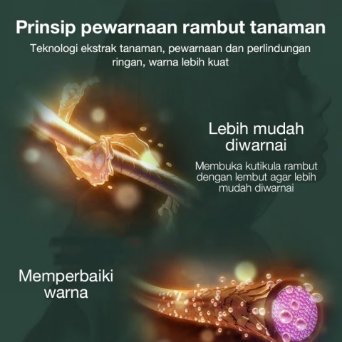 Sisir Pewarna Rambut Sari Buah