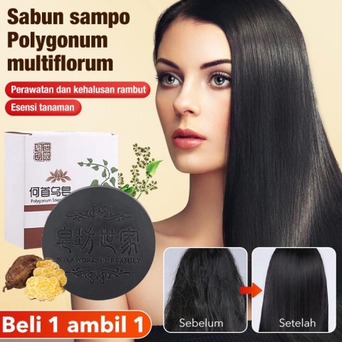 Sabun sampo Polygonum multiflorum