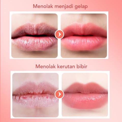 Masker Bibir Gelembung Darah Naga