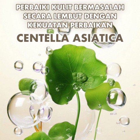 Patch anti kerut