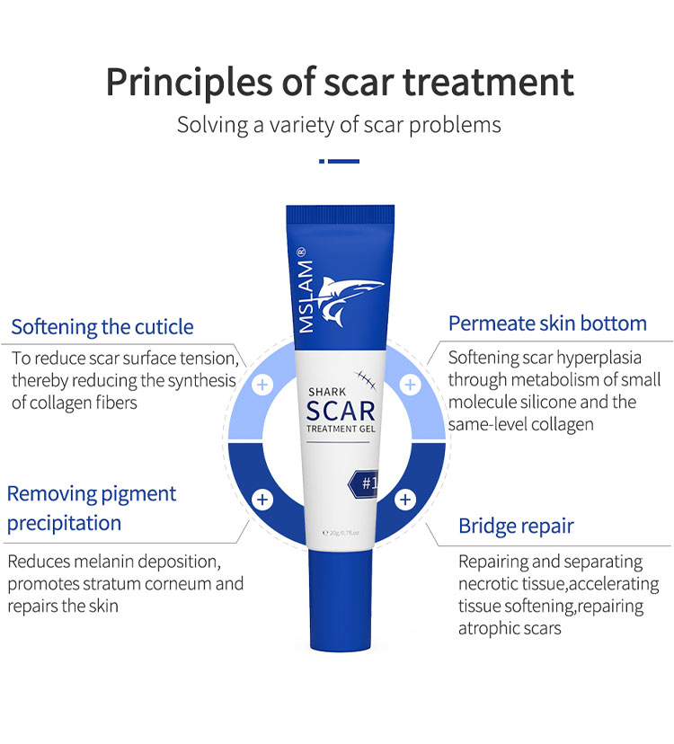 Shark Scar Treatment Gel